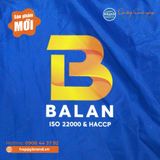  ÁO MƯA CÁNH DƠI PHỐI DÂY PHẢN QUANG - CÔNG TY TNHH BALAN 