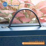  Hộp Giấy Quai Da - DECOX 