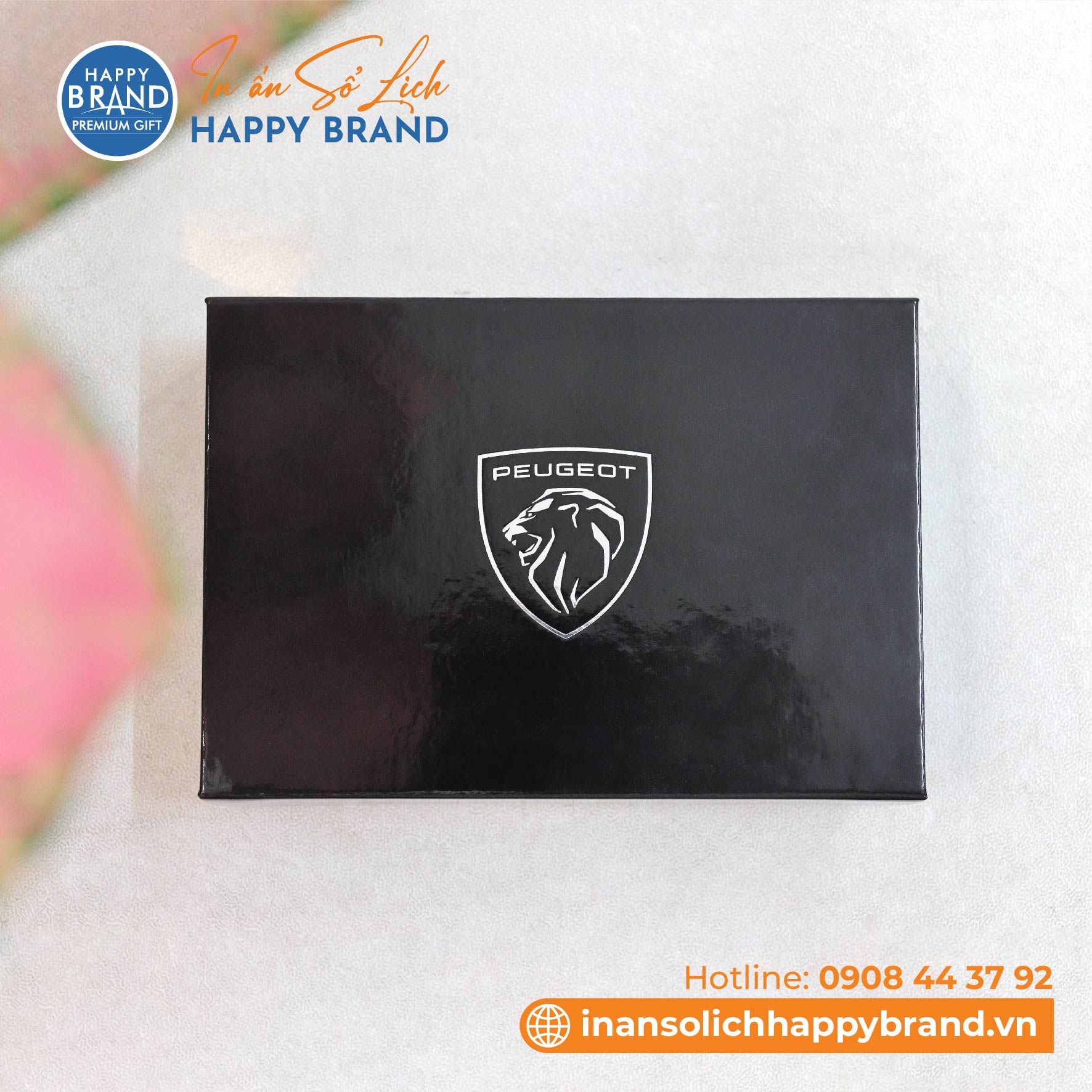  Hộp Chìa khóa - PEUGEOT 