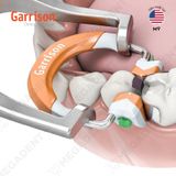  Composi-Tight® 3D Fusion™ Matrix Rings - Khuôn trám xoang II - Cái 