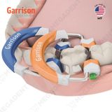  Composi-Tight® 3D Fusion™ Matrix Rings - Khuôn trám xoang II - Cái 