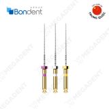  M3-Path Files Rotary NiTi Assorted - Trâm hướng dẫn - Vỉ 6 cái 