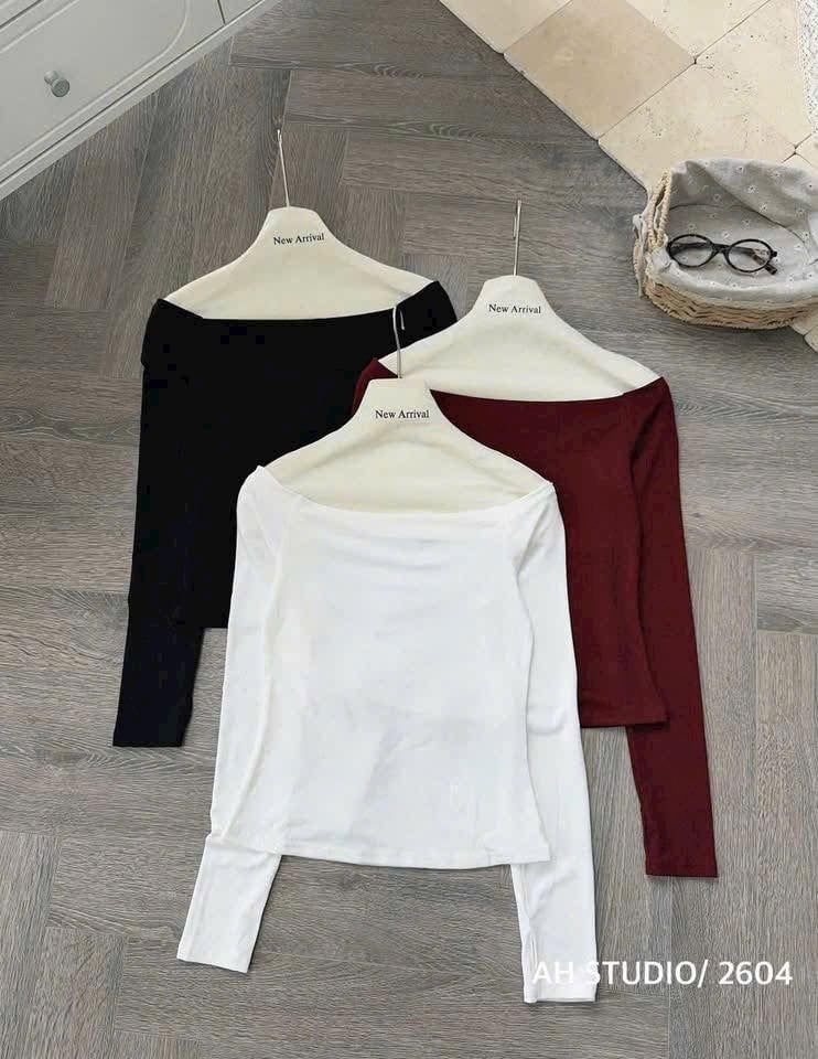  bệt vai trơn dài tay A10 