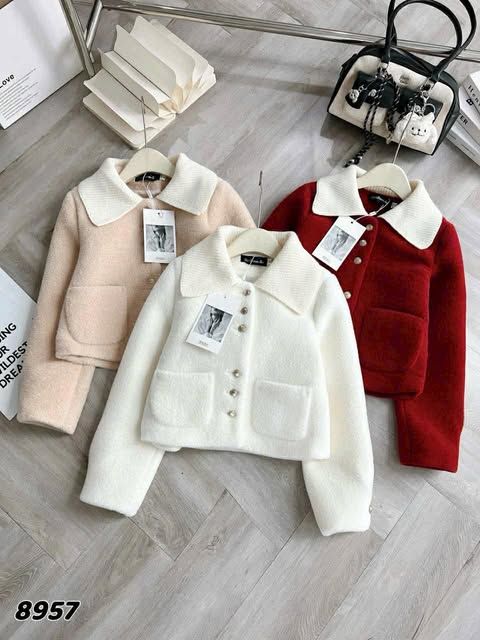  Áo dạ cổ len C299 