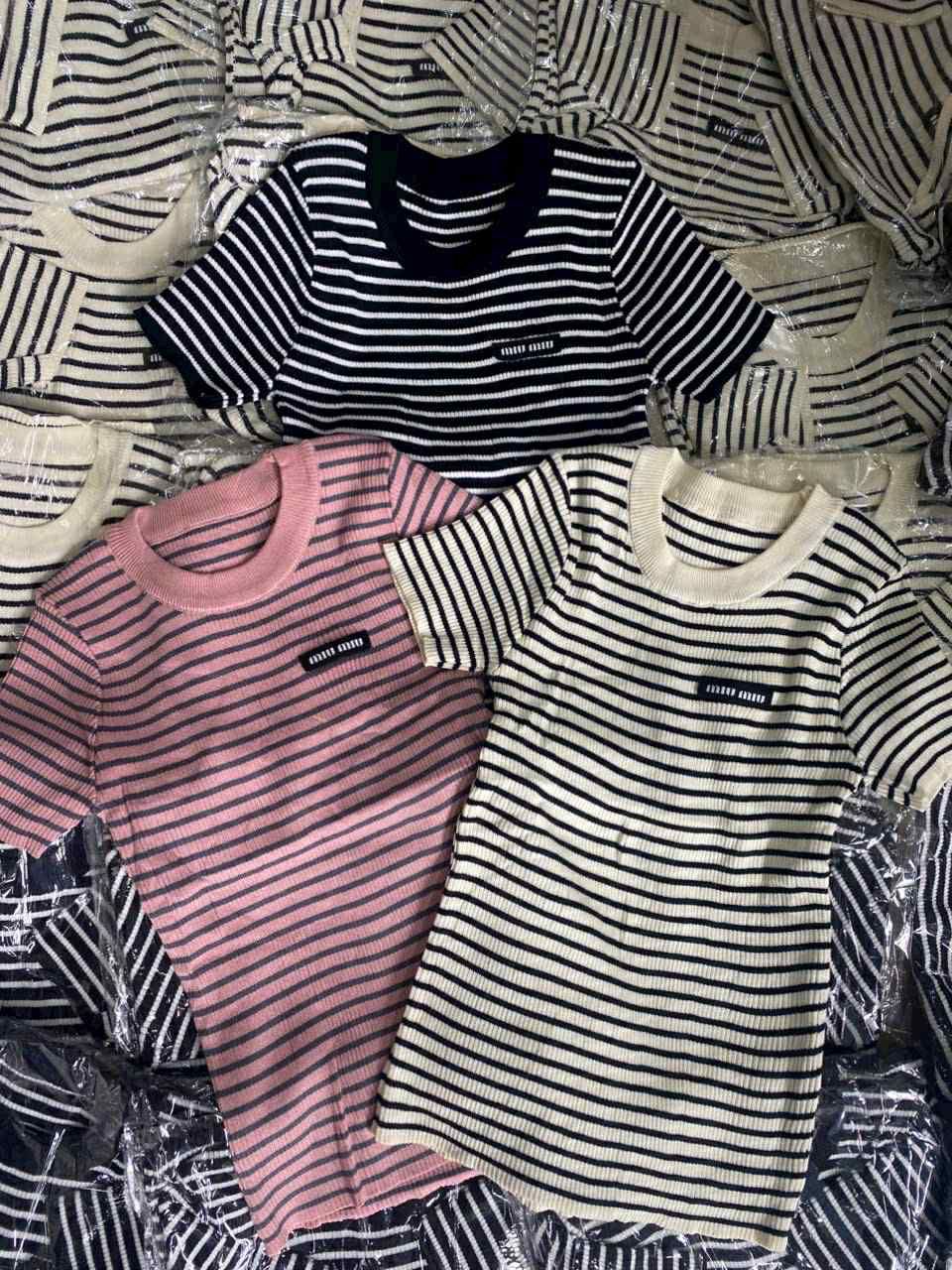  len miu kẻ nhỏ H74 