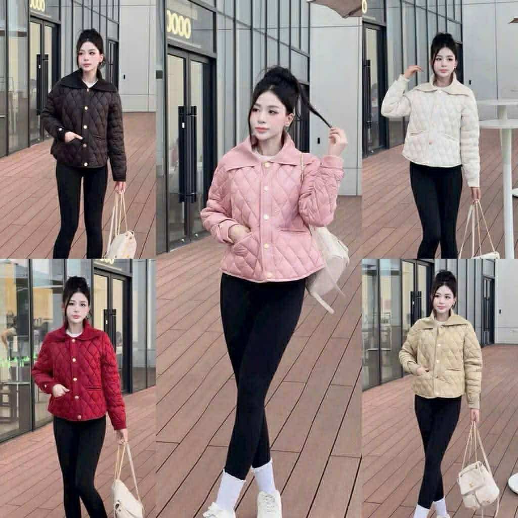  Áo trám kẻ cổ bẻ len C53 