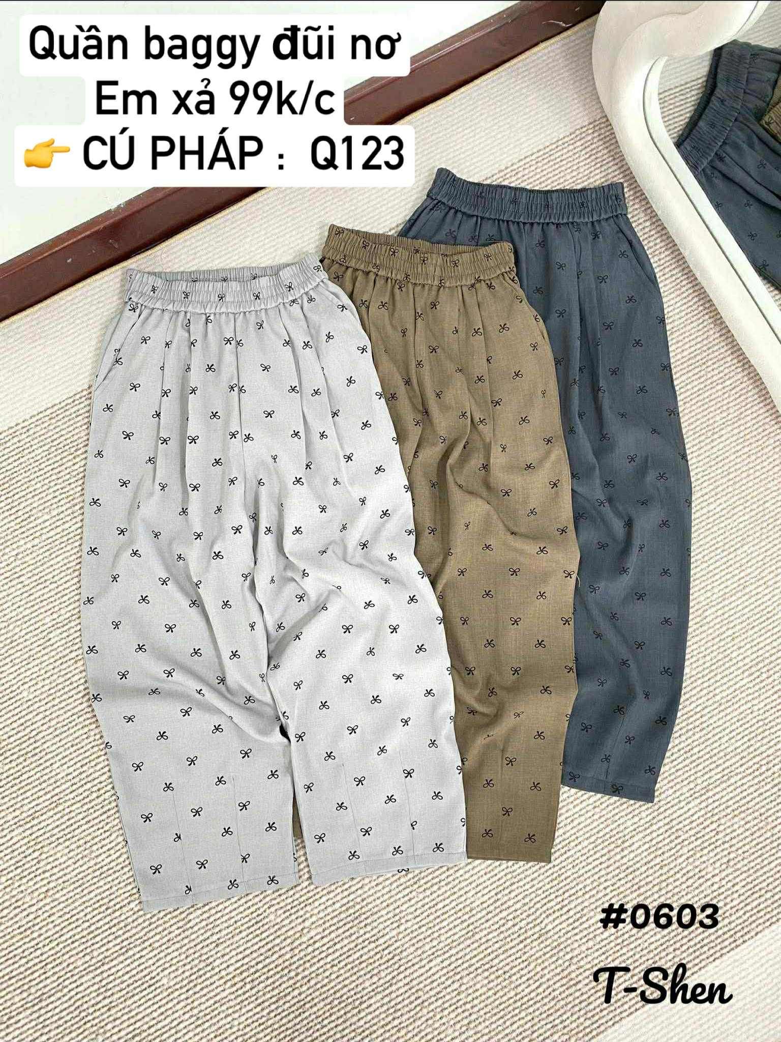  XẢ QUẦN BAGY ĐŨI NƠ Q123 