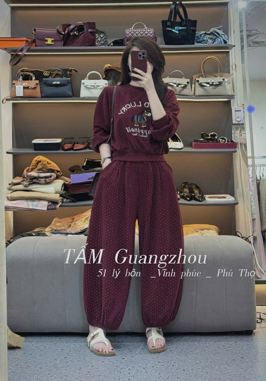  Bộ ngựa thêu xịn B166 