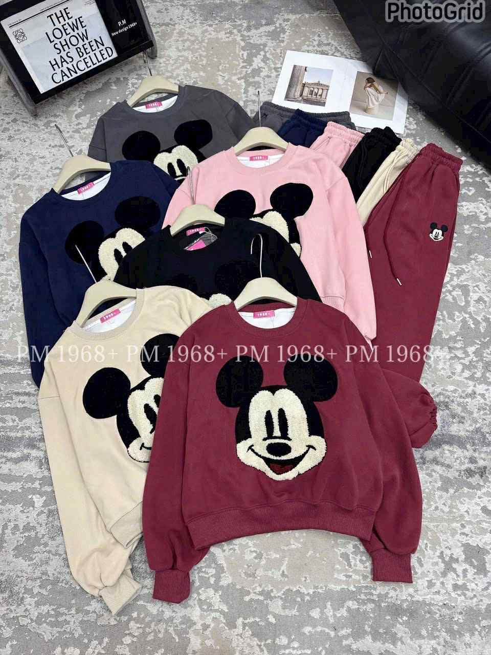  Bộ nỉ chuột xù B27 