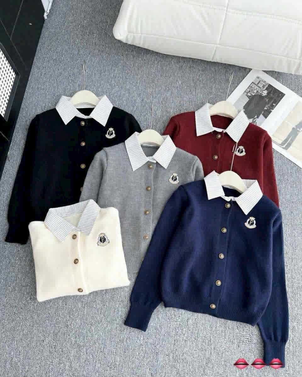  áo len P phối cổ sơ mi A6 