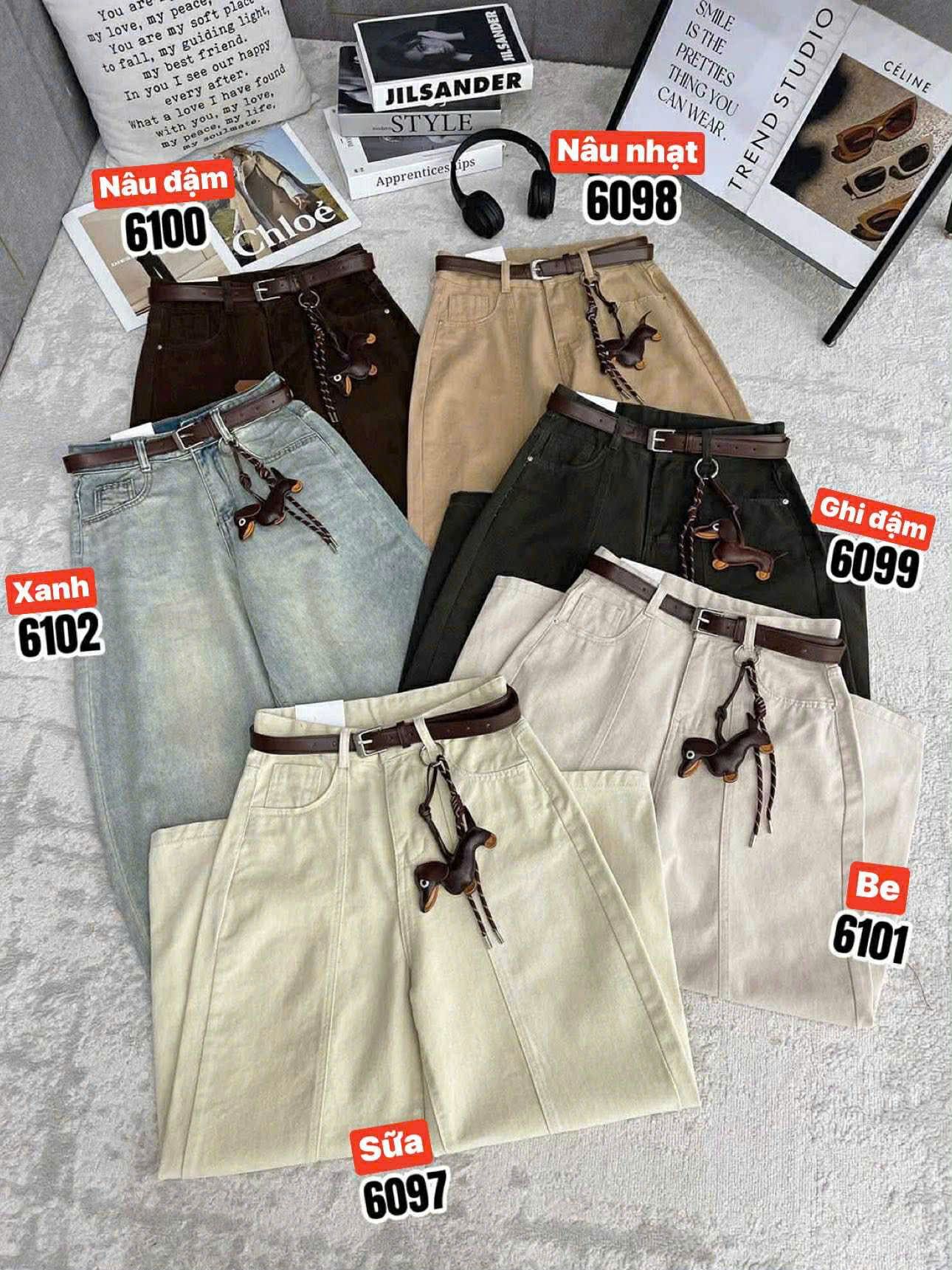  Quần bò baggy nhiều màu Q2 