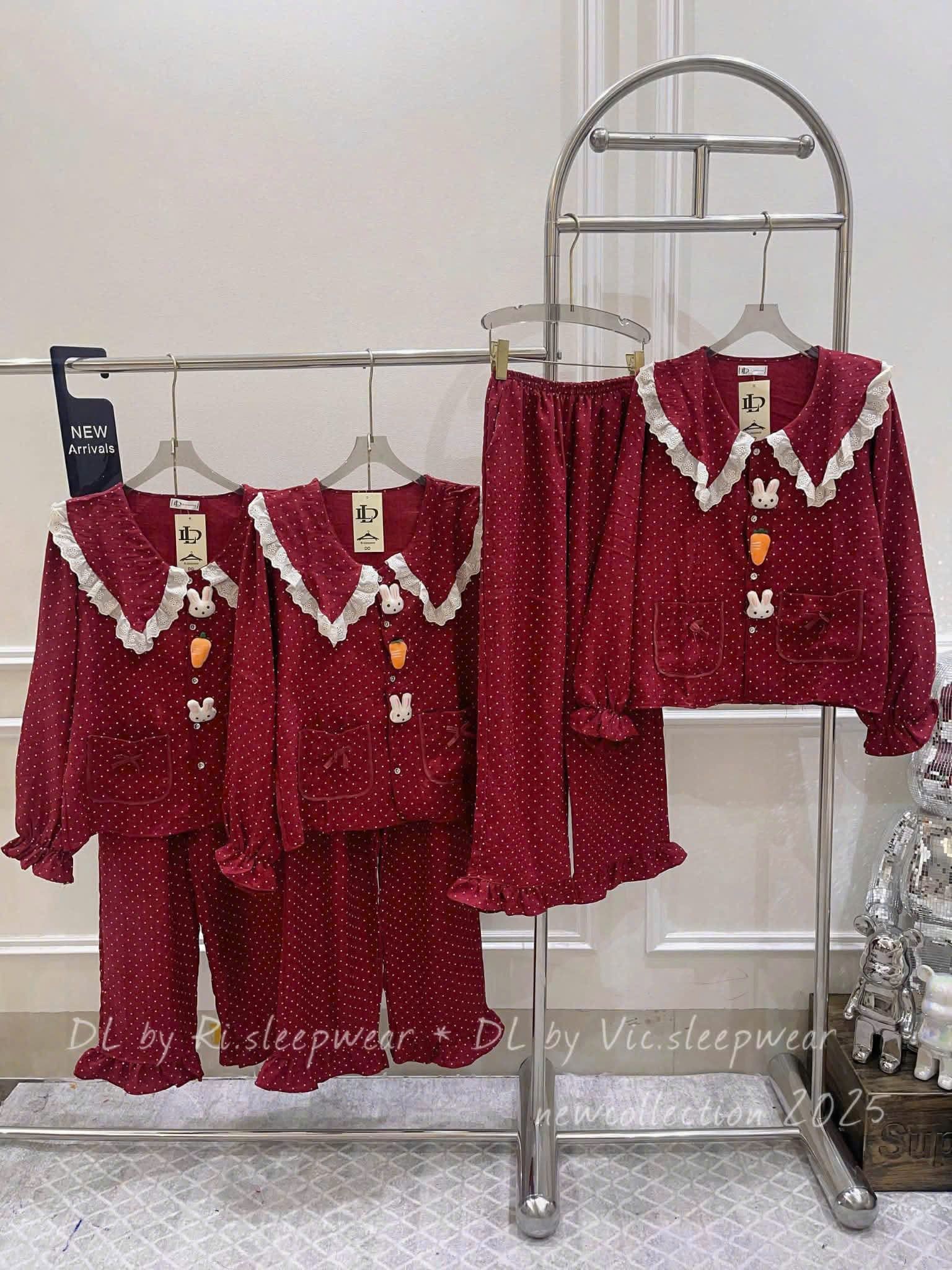  Bộ bèo chấm bi đỏ B23 