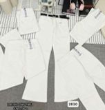  Quần loe nhiều màu Q16 