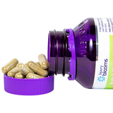  Thực phẩm bảo vệ sức khỏe Ginkgo and Brahmi 3000 (60 viên) 