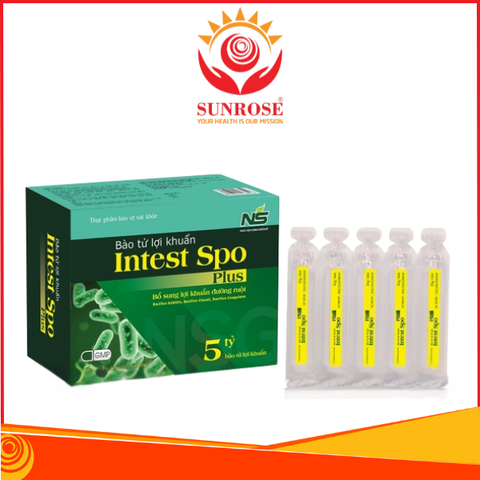 Thực phẩm bảo vệ sức khoẻ Bào tử lợi khuẩn Intest Spo Plus Hộp 20 ống 