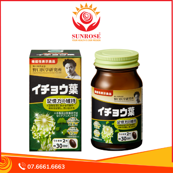  GINKGO LEAF Noguchi - Viên uống Hỗ trợ Bổ Não Giúp Tập Trung Trí Nhớ, Cải Thiện Trí Nhớ Phục Hồi Tế Bào Não, Hộp 60 viên, Nhật Bản 