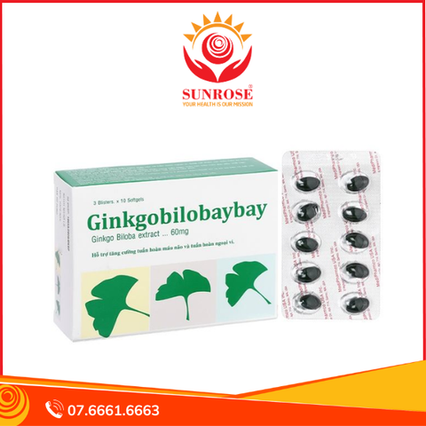  Ginkgobilobaybay tăng cường tuần hoàn máu não hộp 30 viên 