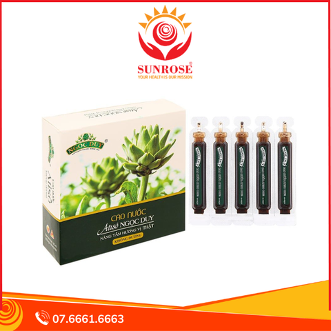  Cao nước Atisô Ngọc Duy không đường giúp bổ gan, lợi mật hộp 10 ống x 10ml 