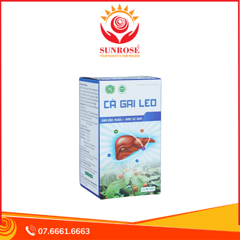  Viên uống Nam Dược Cà gai leo Hỗ trợ bảo vệ gan (Hộp 60 viên) 