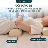  GỐI LƯNG D6 