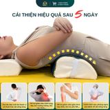  GỐI LƯNG DÀY D10 