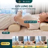  GỐI LƯNG D6 