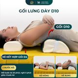  GỐI LƯNG DÀY D10 