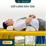 GỐI LƯNG DÀY D10 