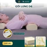  GỐI LƯNG D6 