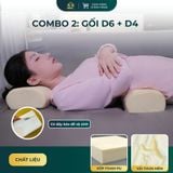  COMBO DU LỊCH DIỆU TÂM HƯƠNG 