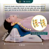  COMBO GỐI D4 + D10 + D9 