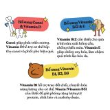  Sữa yến mạch Oatside 1L vị nguyên bản 