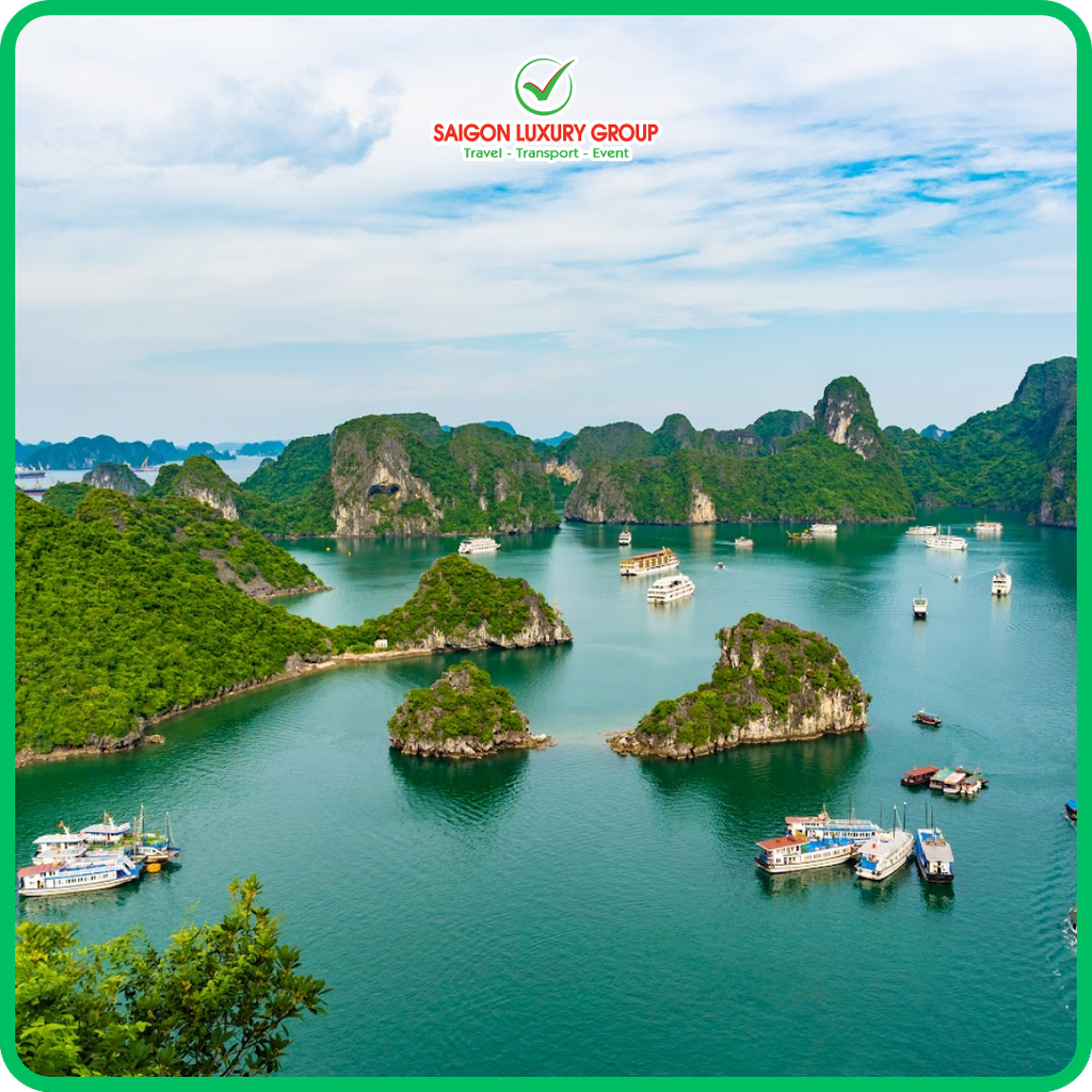 Du lịch Tết 2027 - gợi ý top tour đáng trải nghiệm