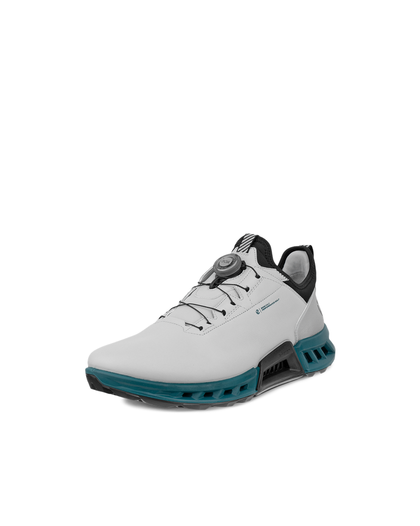 13042460912 Giày ECCO M GOLF BIOM C4