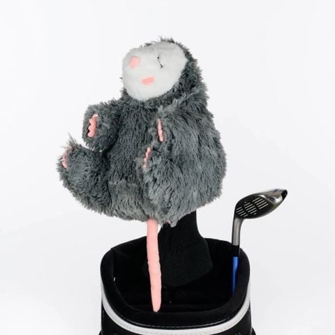 Cover DN Opossum