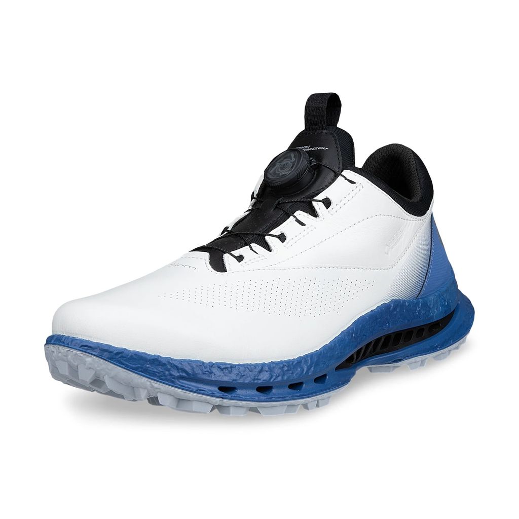 13261461583 ECCO M GOLF BIOM C5