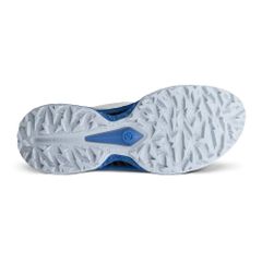 13261461583 ECCO M GOLF BIOM C5