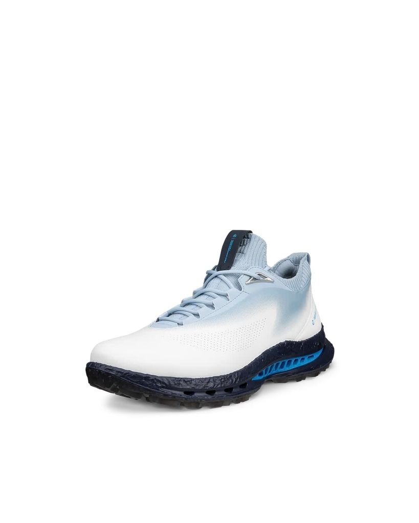 13260460611 ECCO M GOLF BIOM C5