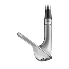 862RSSD Gậy Wed TT SM11 TC RH DYG S2