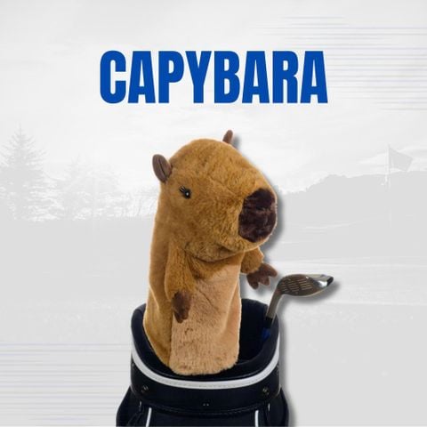 Cover DN Capybara