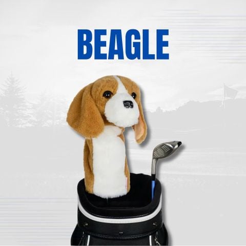 Cover DN Beagle