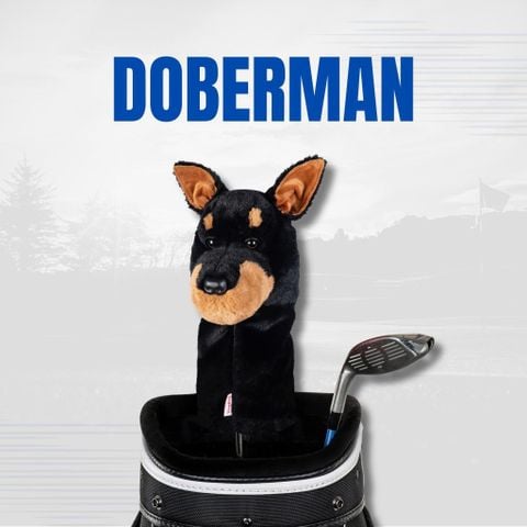 Cover DN Doberman