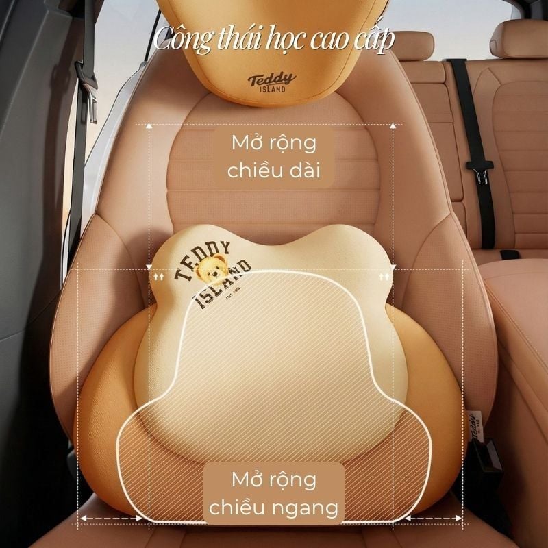 The Teddy Bear | Bộ Gối Tựa Lưng & Cổ Công Thái Học Memory Foam Cao Cấp
