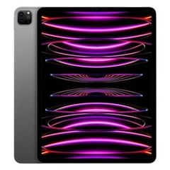 iPad Pro M2 12.9 inch Wifi 256GB Like New