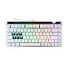 Bàn phím Gaming ASUS ROG Falchion Ace 75 HE