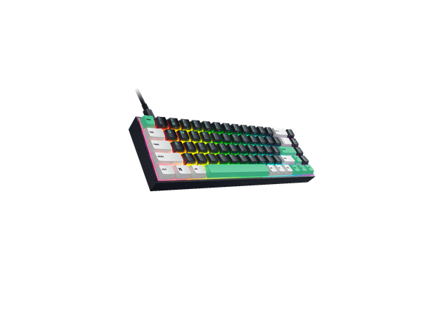 Bàn phím Razer Reclusa X Mini 65
