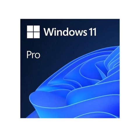 Phần mềm Windows 11 Pro 64-bit All Lng PK Lic Online DwnLd NR (FQC-10572) - Key diện tử (ESD)