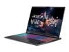 Laptop Acer Gaming Nitro ProPanel AN16S-61-R7ZJ