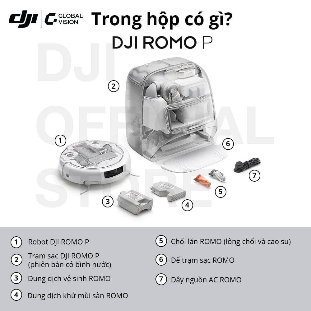 DJI ROMO