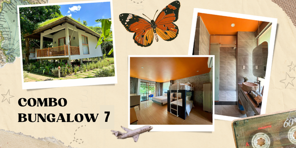 Combo Bungalow 7